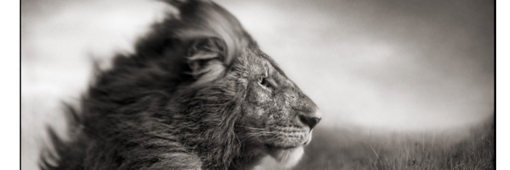 Barxy82's profile banner image