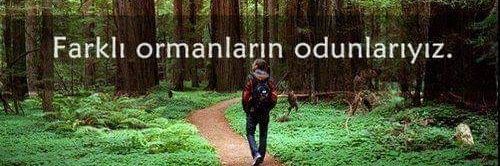 Fatih banner