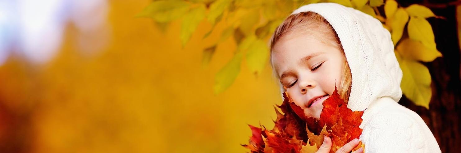 DPWKinship's profile banner image