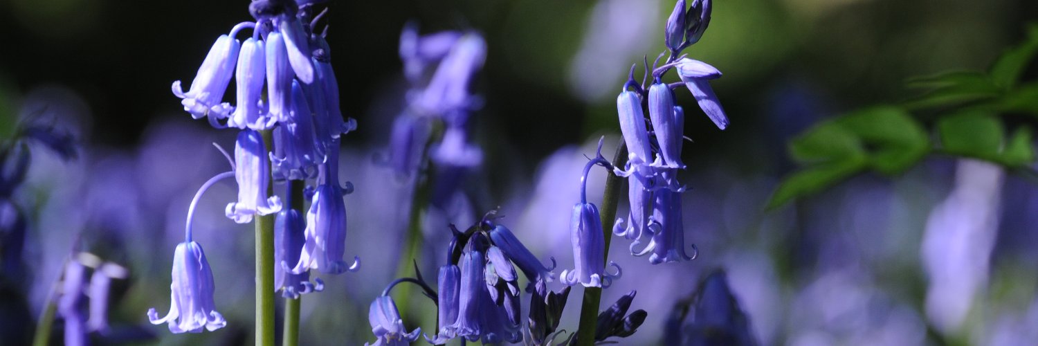 PyromancerJack's profile banner image