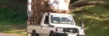 RudeboyShiam's profile banner image