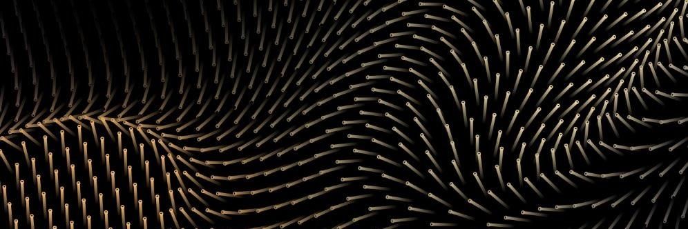 Stefano Leotta banner