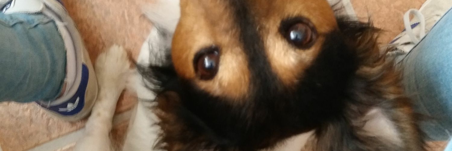 martigc7's profile banner image