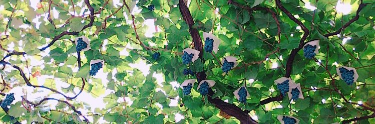 S85414's profile banner image