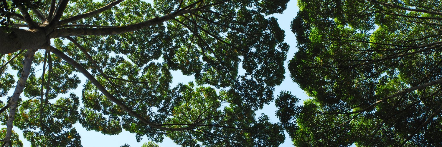 UN Environment Programme's banner