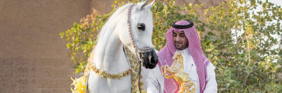 nafstud's profile banner image