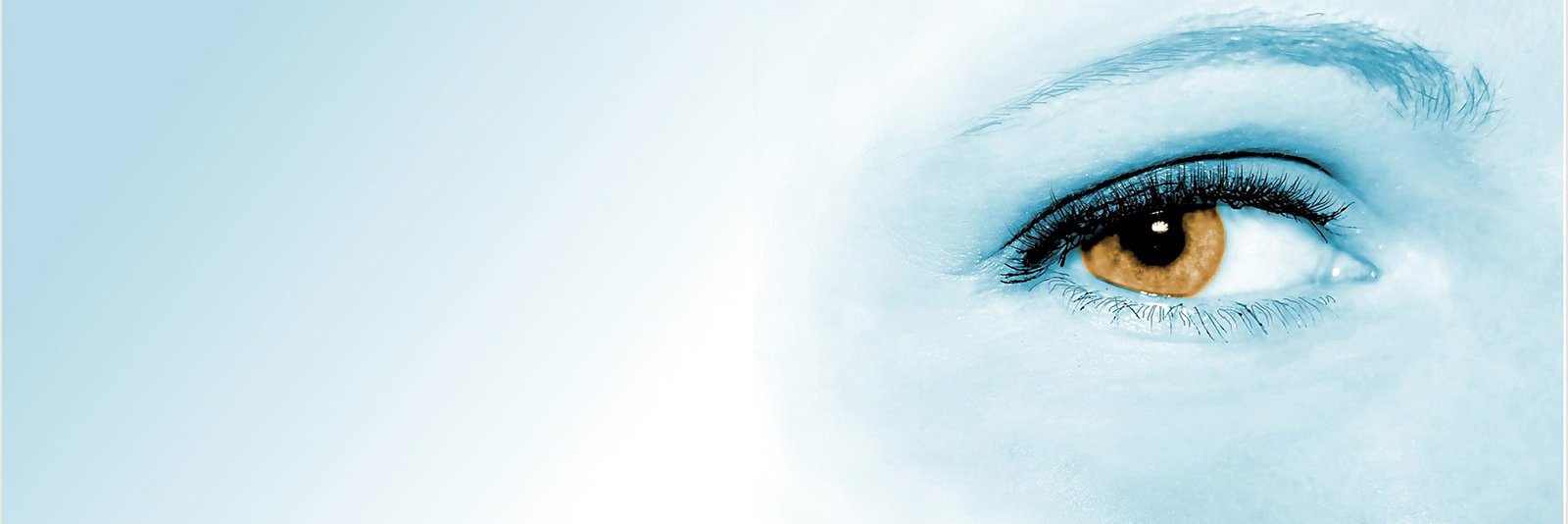 ventegivree.com banner