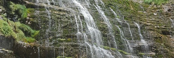 asanzcano Profile Banner