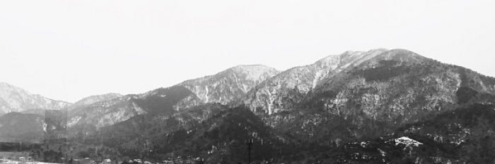 torotta3's profile banner image
