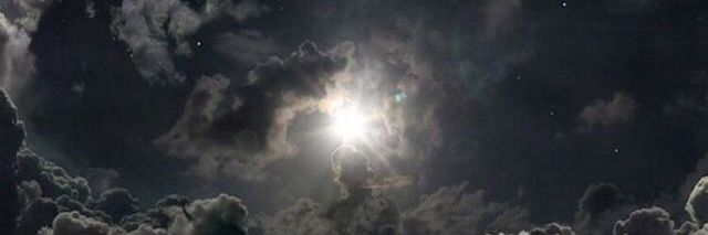 winnieday's profile banner image