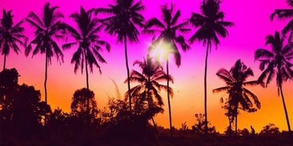LilaSencler's profile banner image