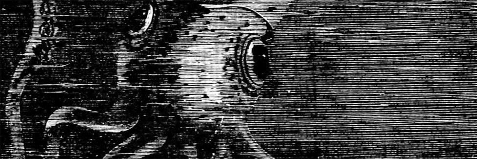_slowlight's profile banner image