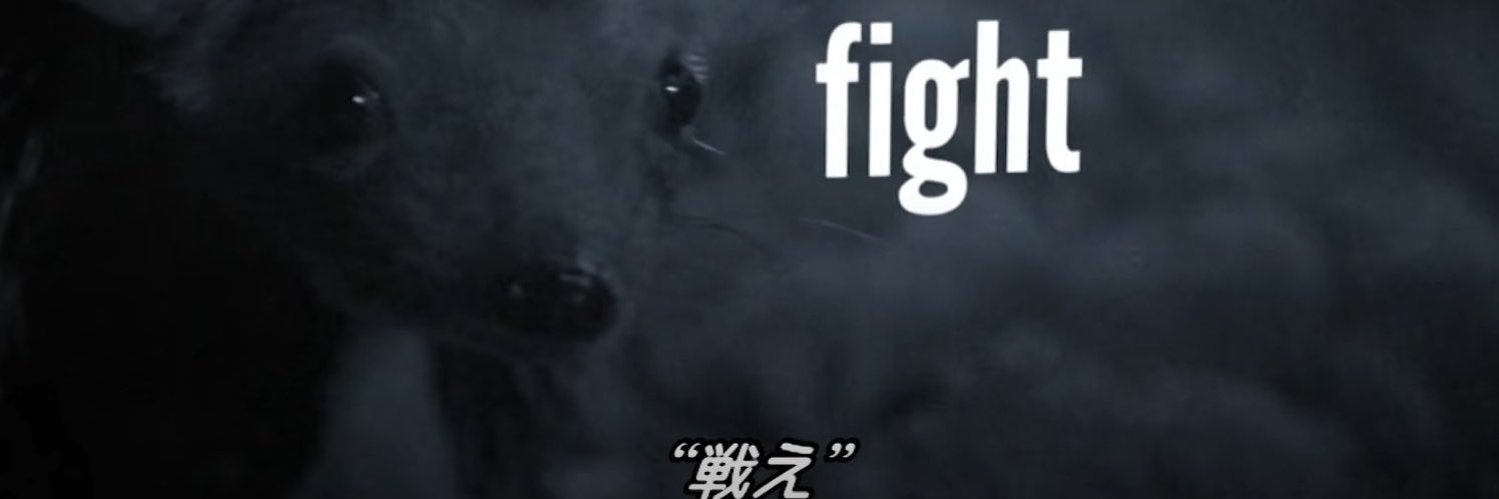 takahaxtusi's profile banner image