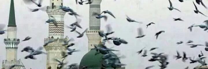 Makrami44's profile banner image