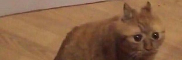 rivxr_'s profile banner image