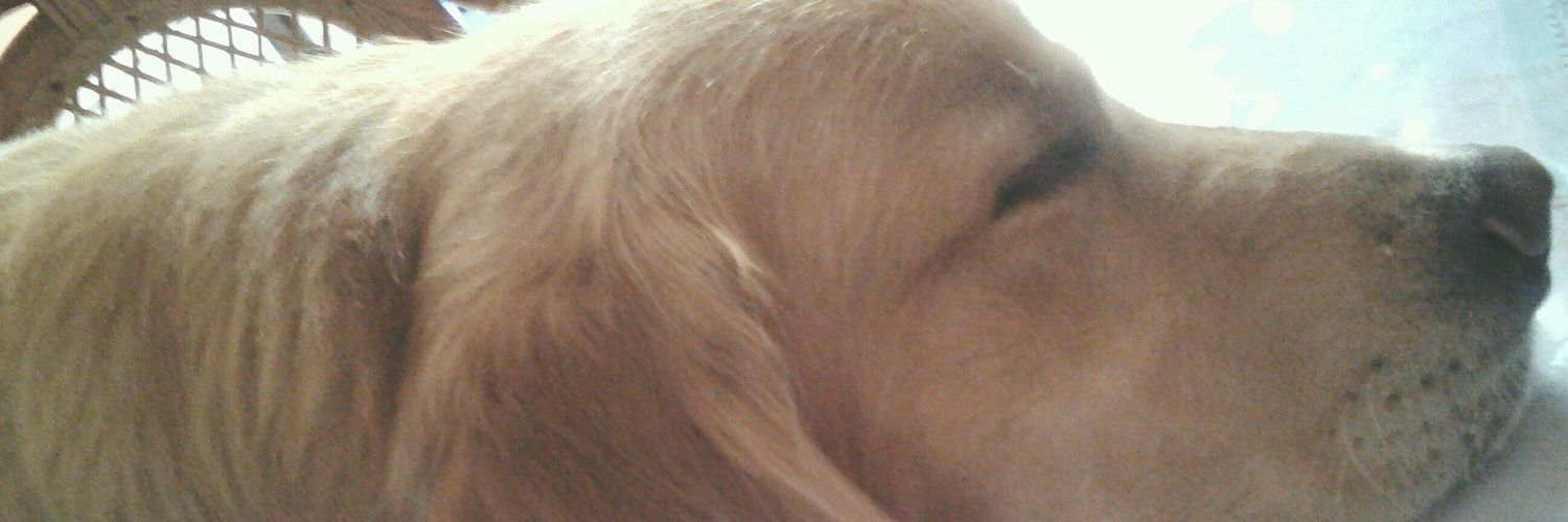 ezjavier22's profile banner image