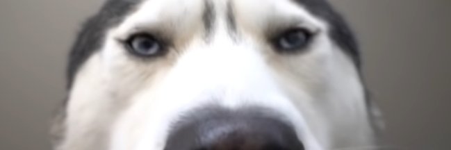 _Janksen's profile banner image