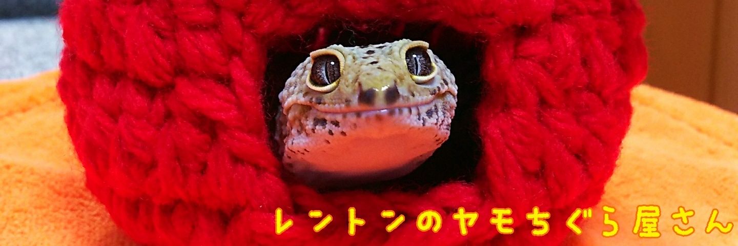 lapteil2's profile banner image