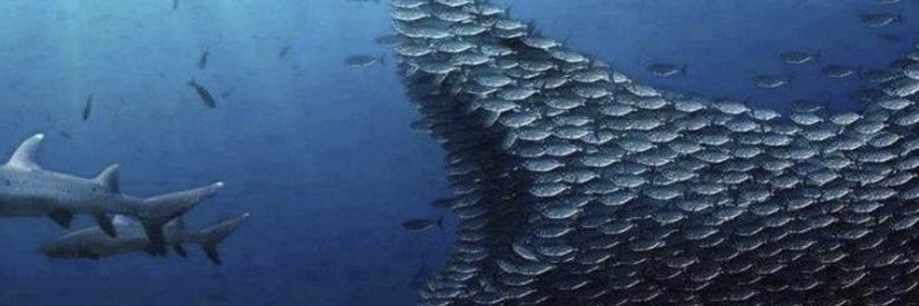 RussianBot0876's profile banner image
