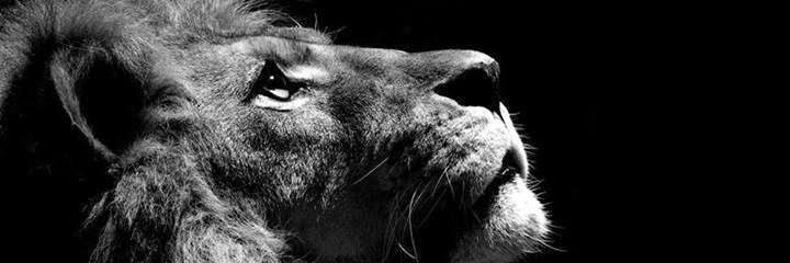 ExecutiveEssy's profile banner image