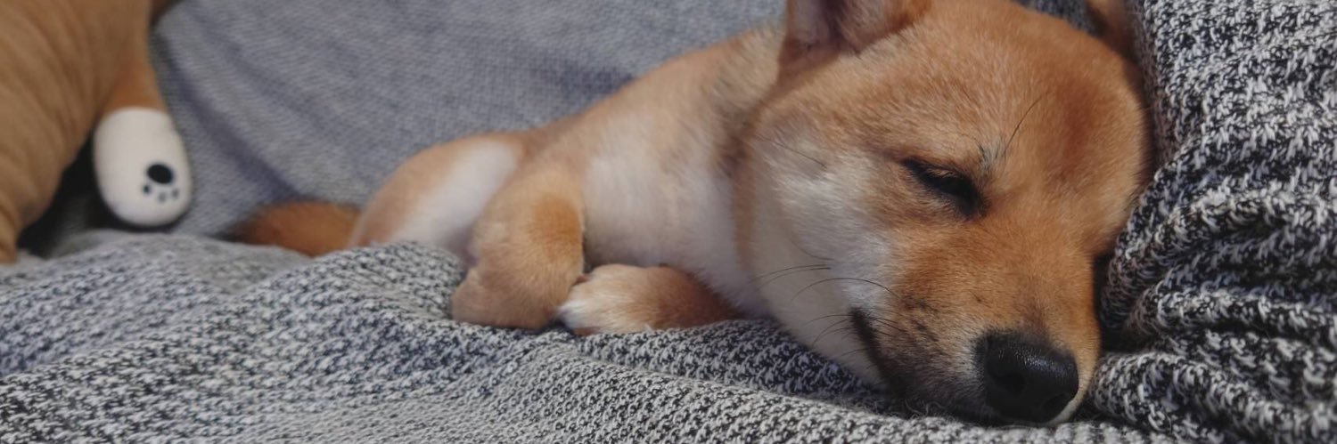 tessy_mi's profile banner image