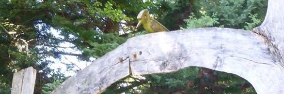 ekithump banner