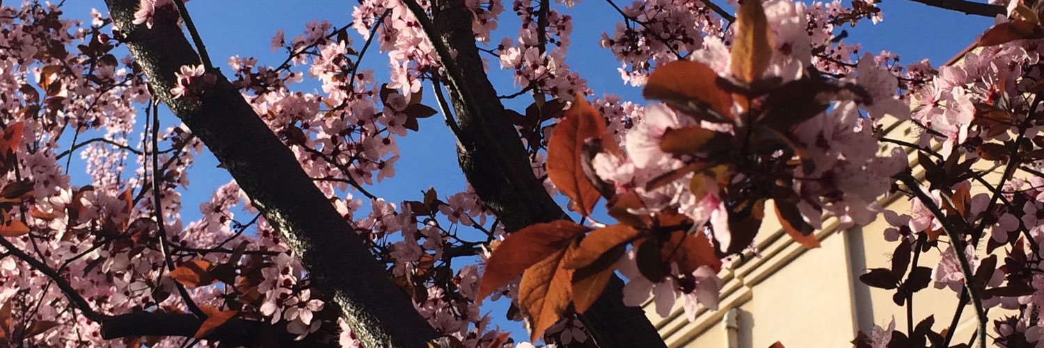 AnnaKatiia's profile banner image