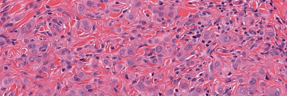 Anurag Sharma banner