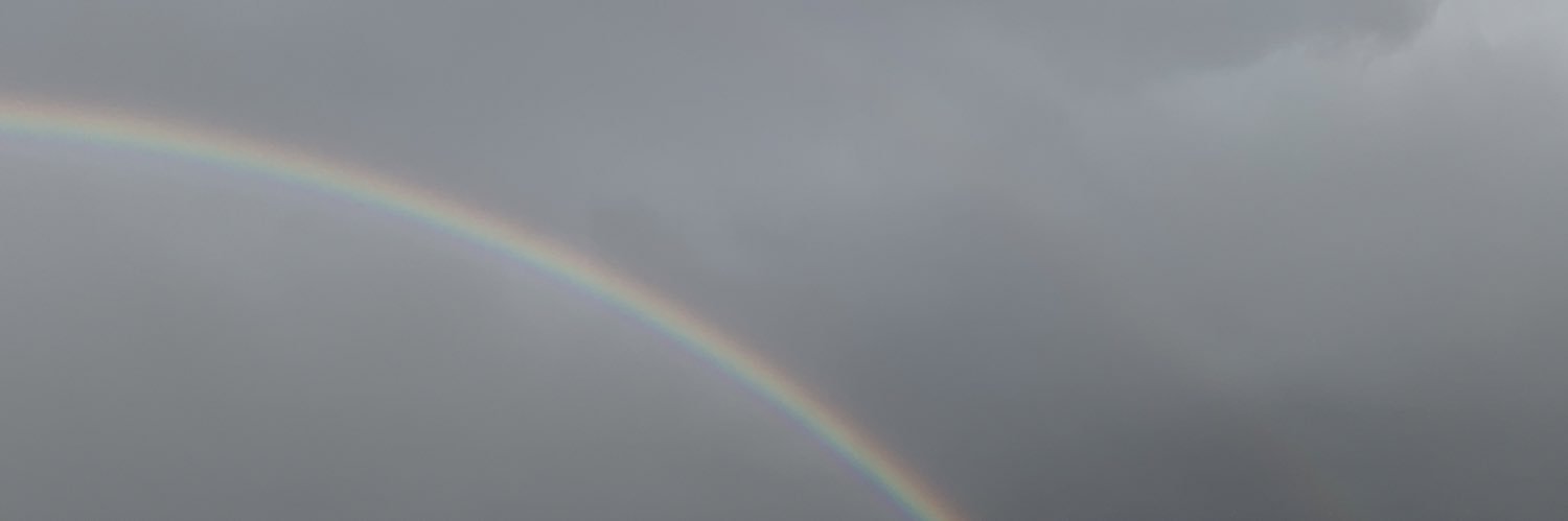 martindmitrov's profile banner image