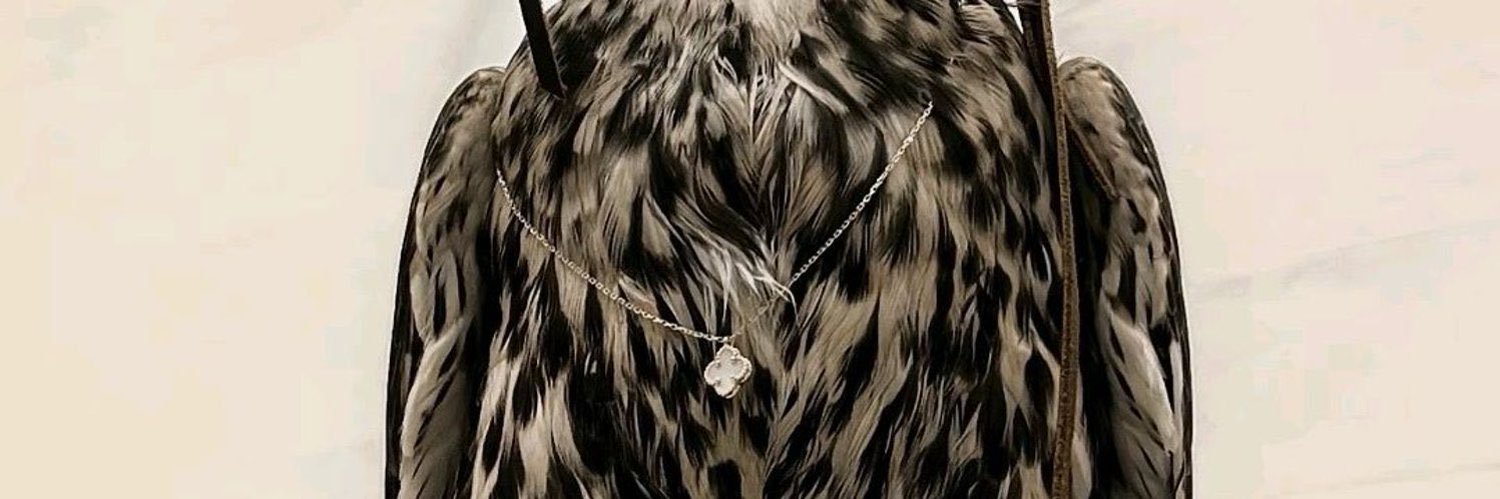 mkalshmeri's profile banner image