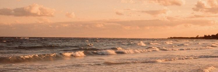 AgusOlivelli's profile banner image