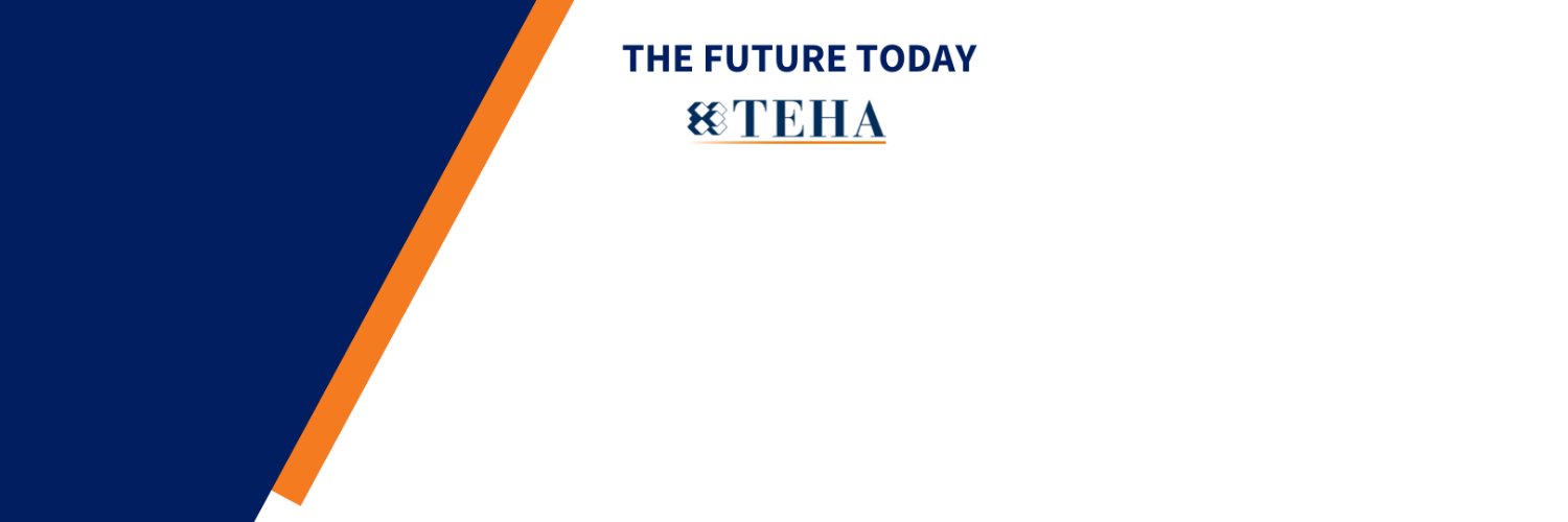 The European House - Ambrosetti banner