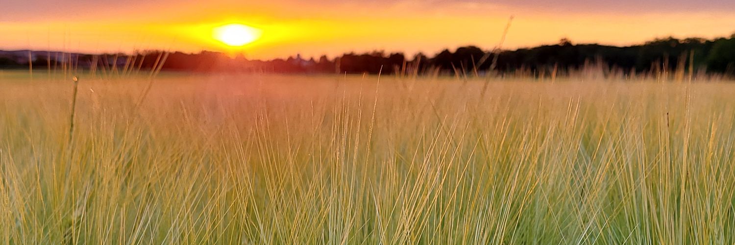 Sébastien PROUTEAU banner