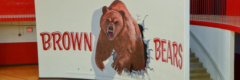 Brown Academy banner