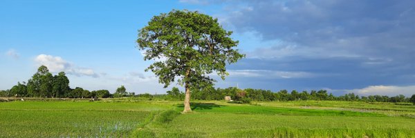 Chinmayak Profile Banner