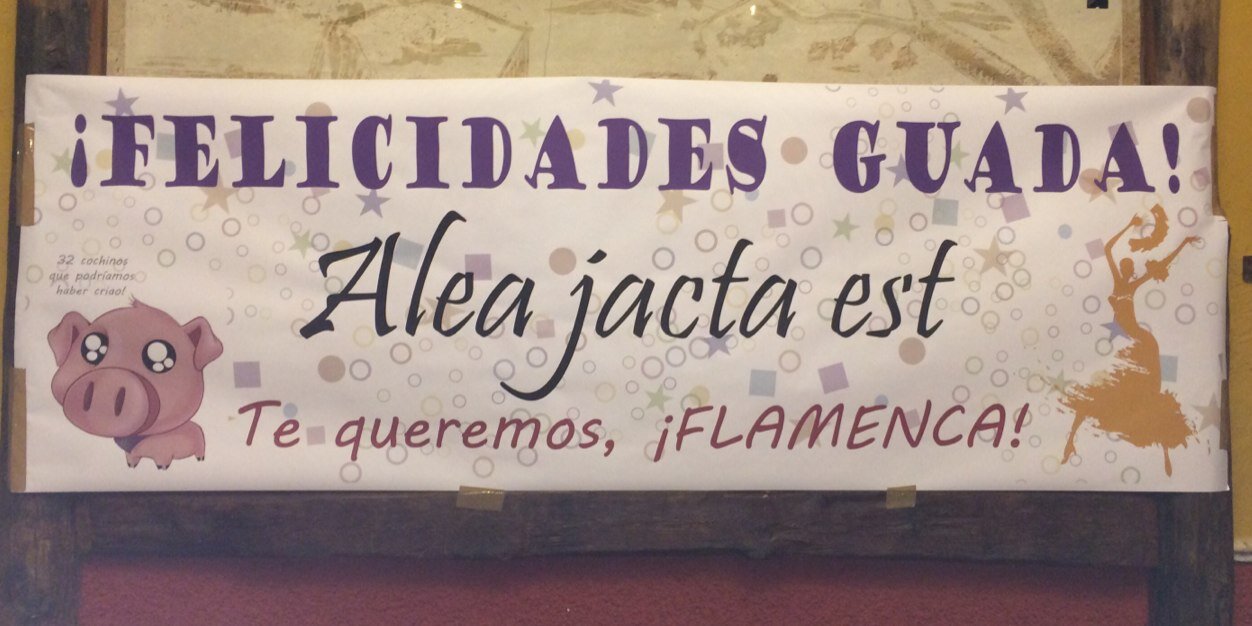 guadu1's profile banner image