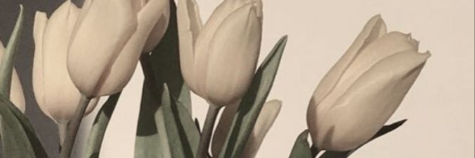 KhanyiAdams's profile banner image