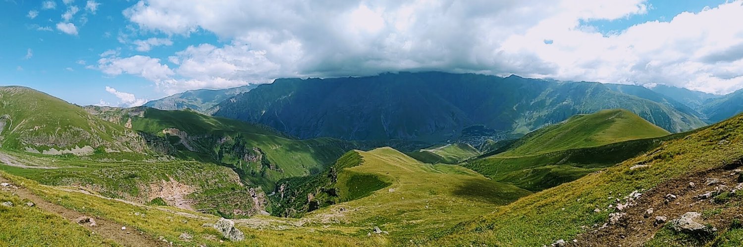 Sally Torbert banner