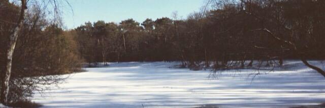 Marloess_14's profile banner image