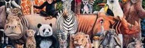 patisramos's profile banner image