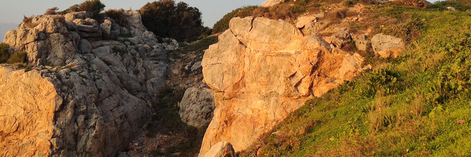 Pedrogumaa's profile banner image