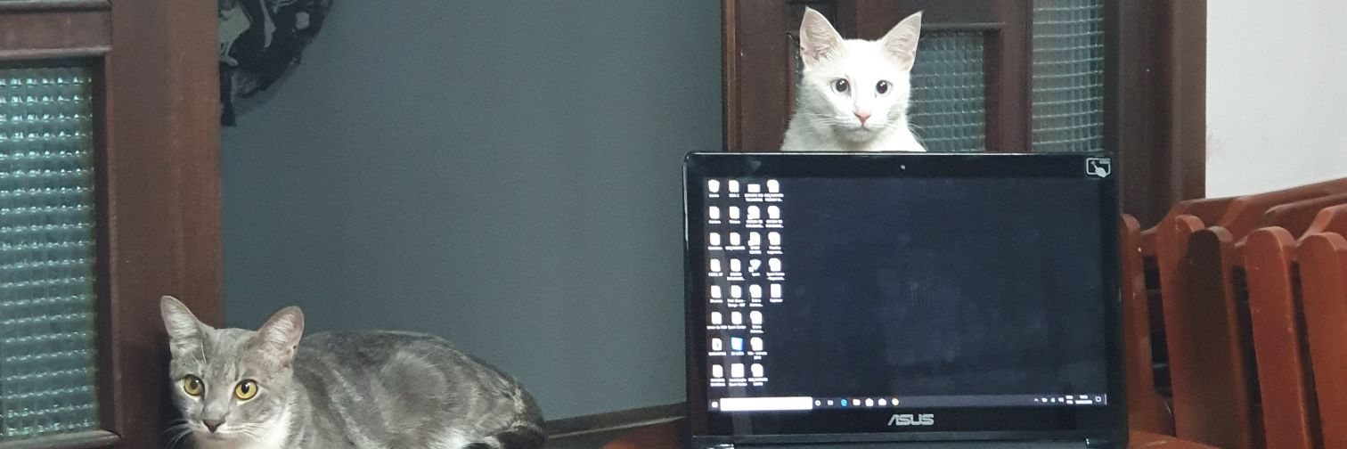 affsoares's profile banner image
