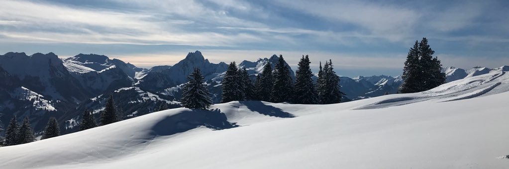 SiegristFlorian's profile banner image