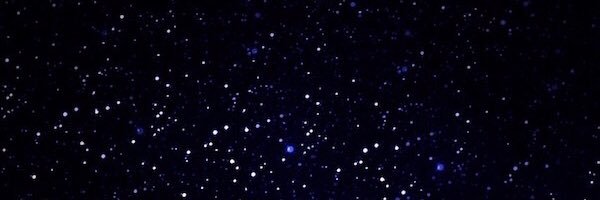 _feedthebear_'s profile banner image