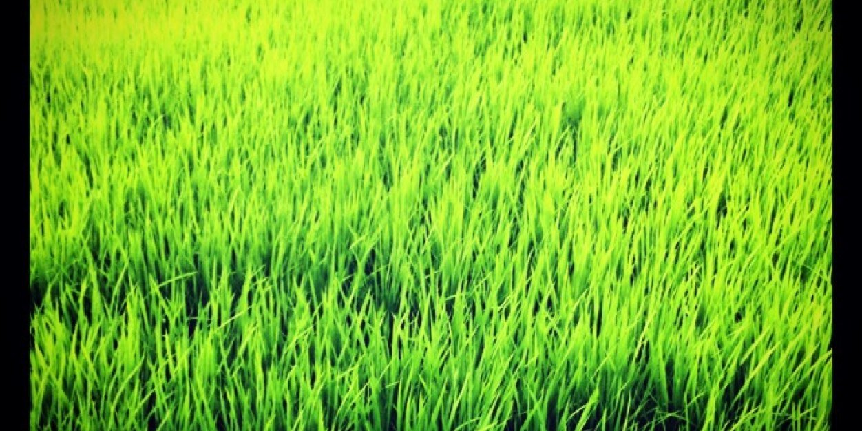 yucchanttt's profile banner image