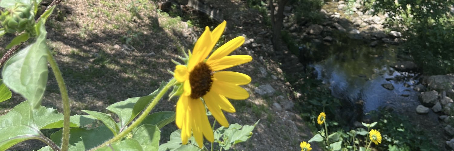 Gillian Whitney banner