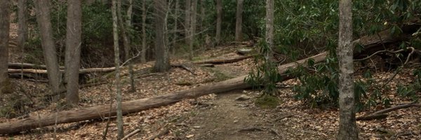 edgeph2 Profile Banner