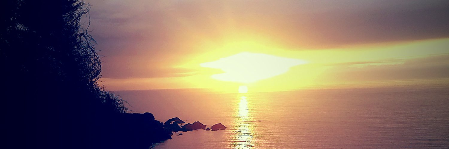 kate_ross's profile banner image