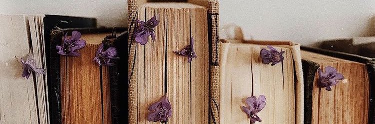 alexvogl's profile banner image