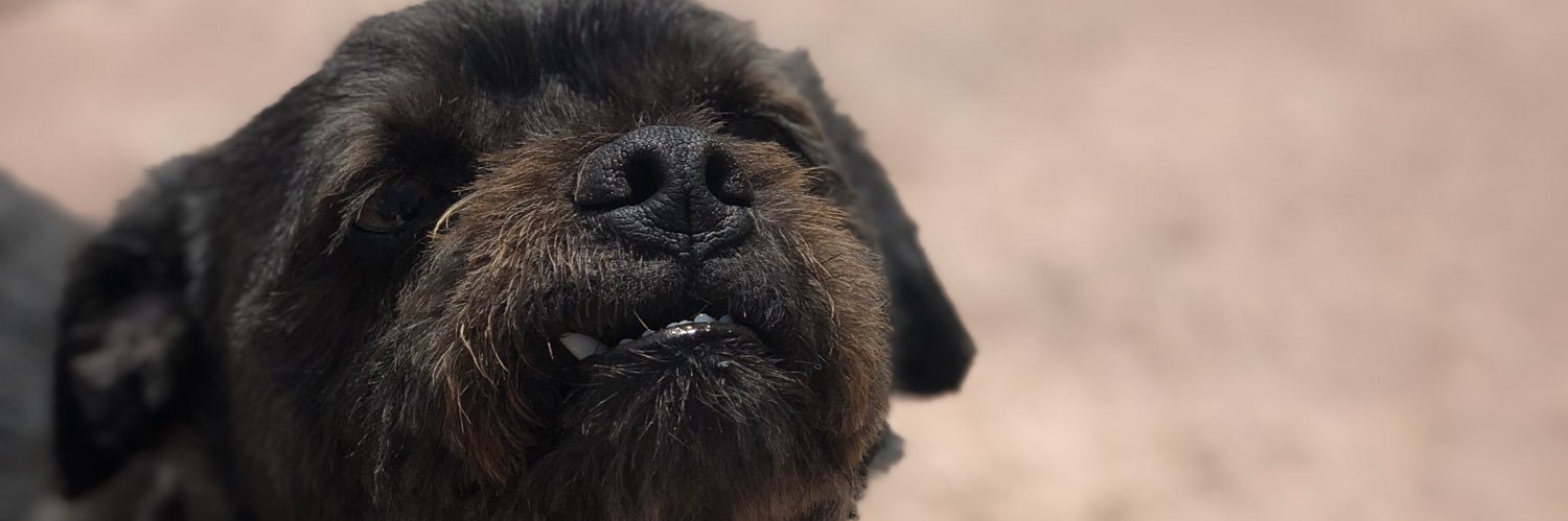 duranimal13's profile banner image